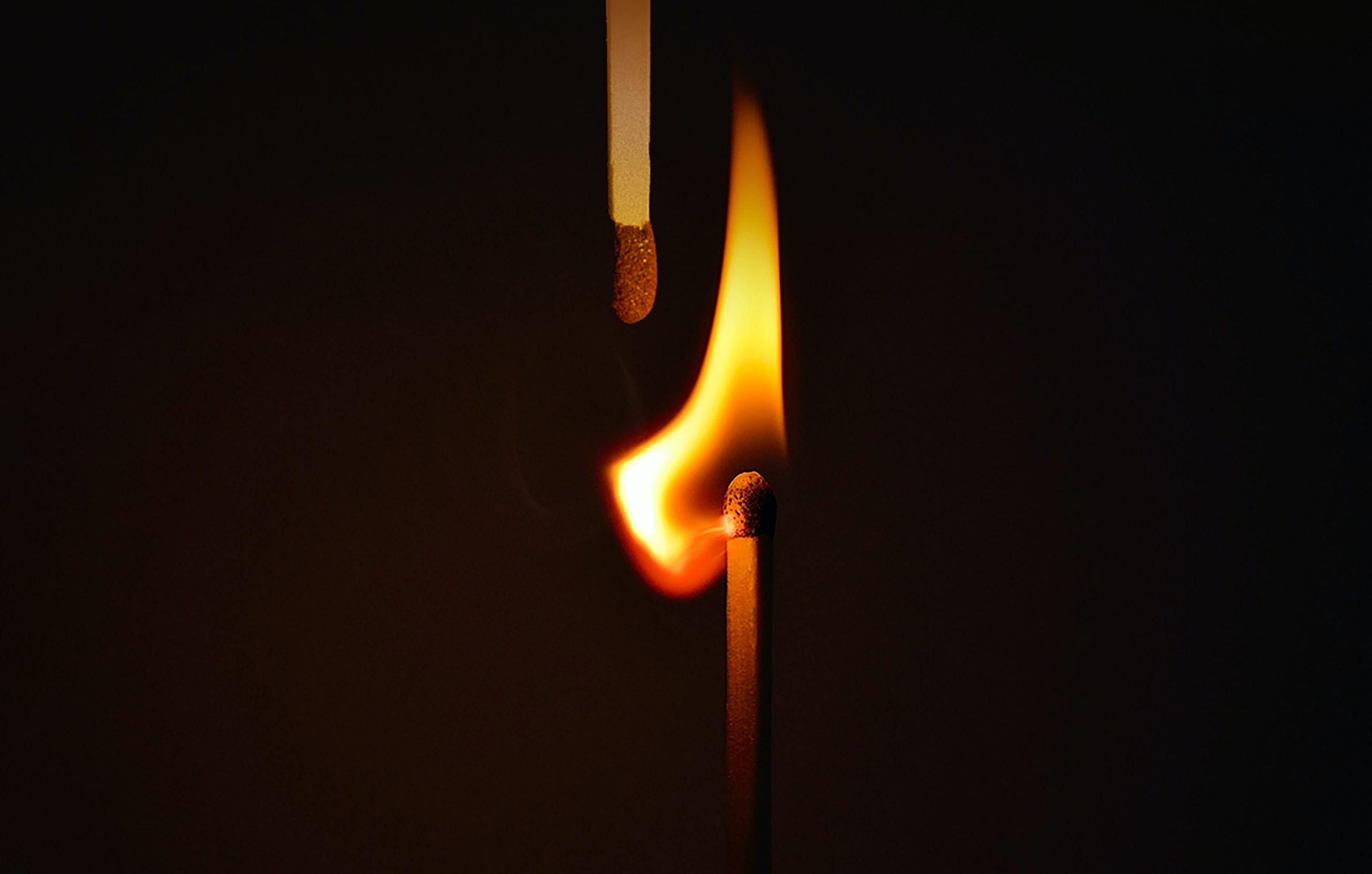 allec-gomes-fHNUi68tqu8-unsplash