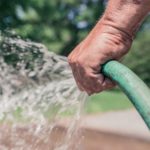 man-hand-garden-growth-2259