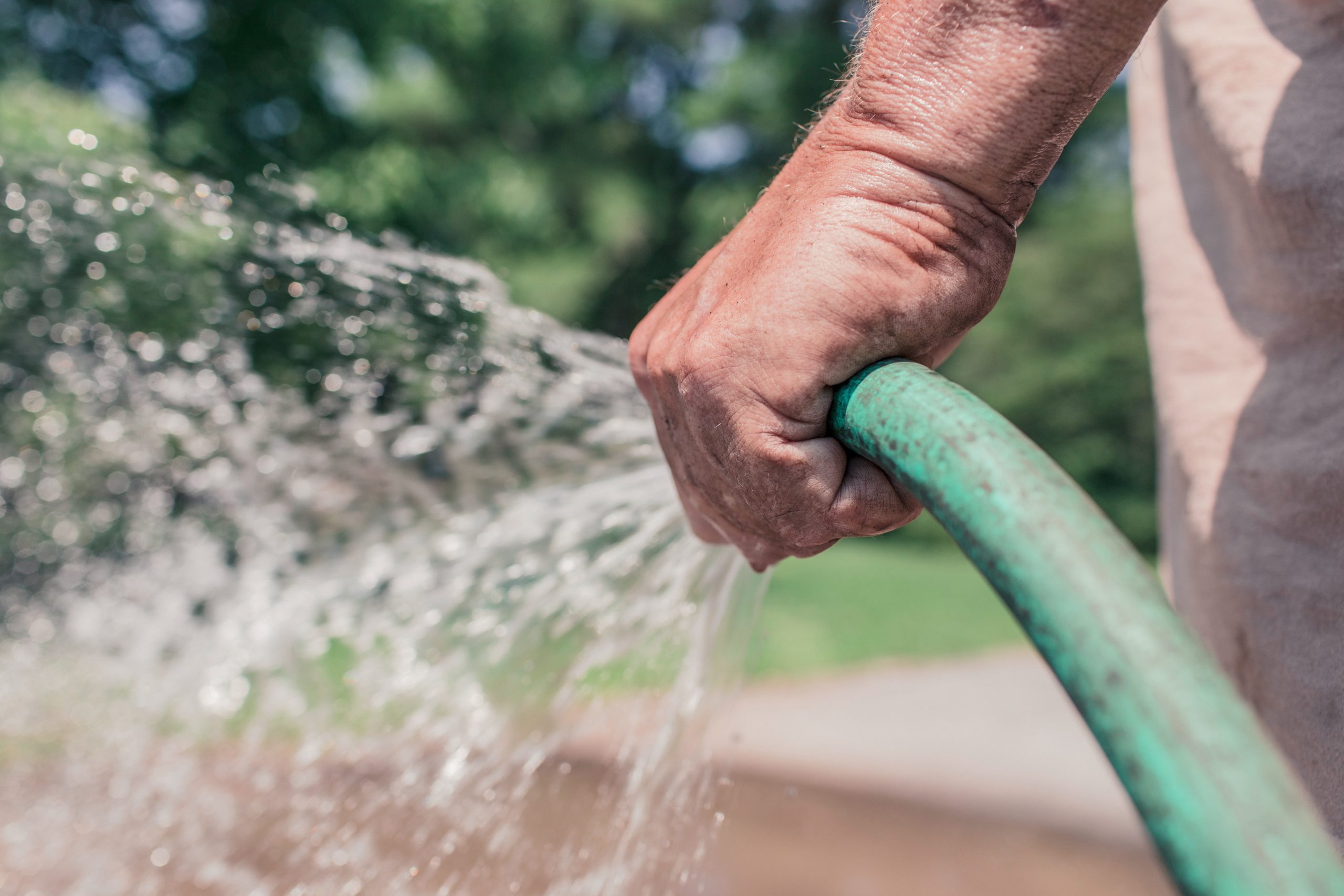 man-hand-garden-growth-2259