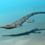 Steneosaurus_NT_small