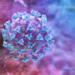 FILE PHOTO: A computer image created by Nexu Science Communication together with Trinity College in Dublin, shows a model structurally representative of a betacoronavirus which is the type of virus linked to COVID-19