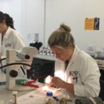 Englandseedbankscientists