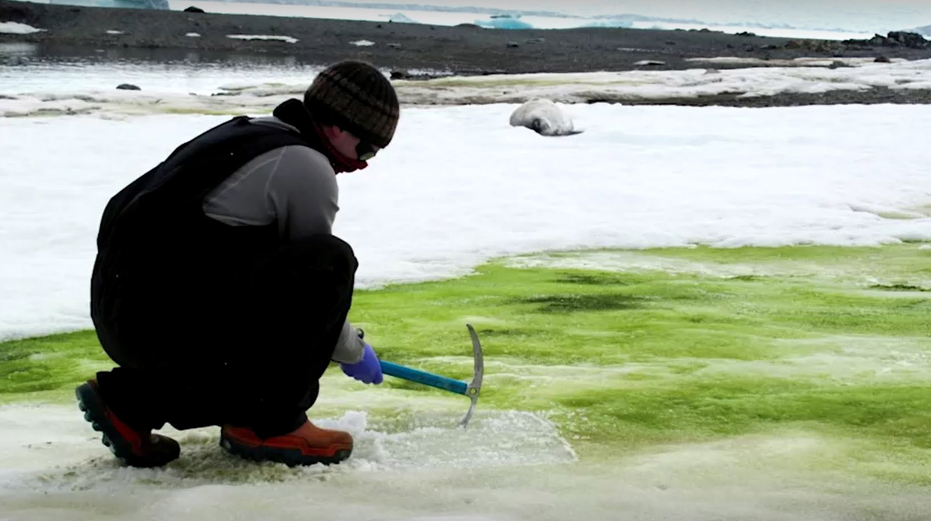 CLIMATE-CHANGE-ANTARCTICA