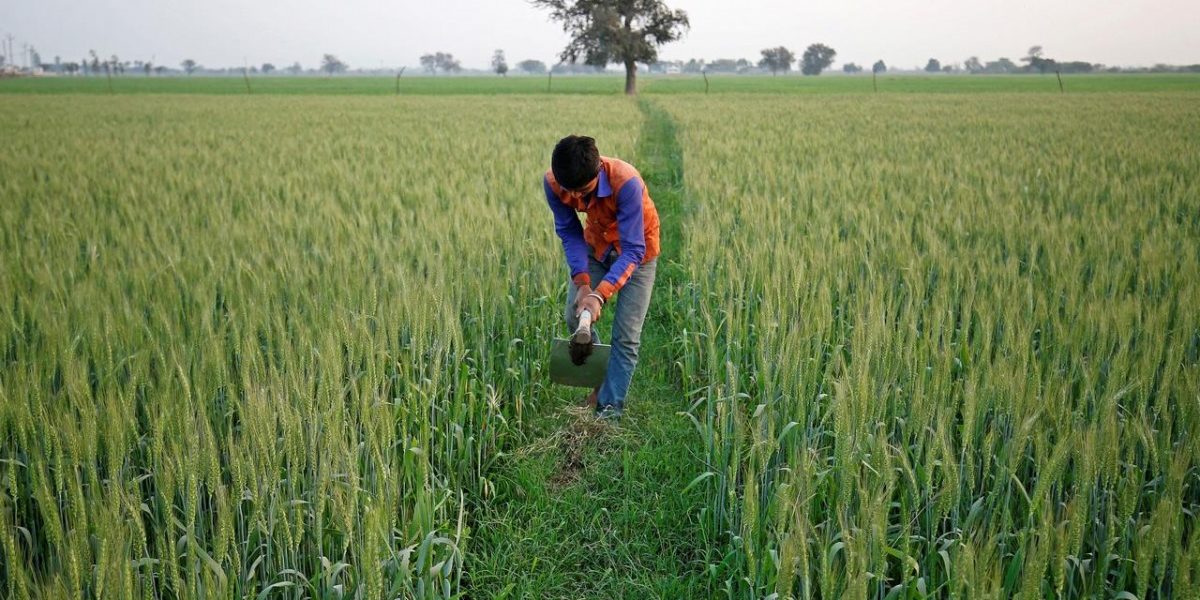 Listen | 'Lack of Clarity From Centre Contributed to Losses Suffered by Farmers'