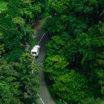 forest-carbon-storage-banner