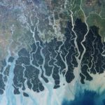 1280px-Sundarbans