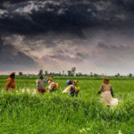 1280px-(1)_Agriculture_and_rural_farms_of_India