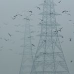 FILE PHOTO: Birds fly next to electricity pylons on a smoggy afternoon in the old quarters of Delhi