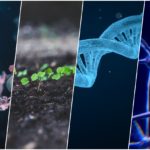 bioengineering_collage