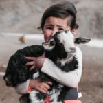 little-girl-embracing-adorable-little-goatling-4328297s