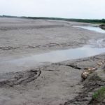 1280px-Silt_deposition_at_Kosi_embankment_at_Navbhata_near_Saharsa