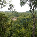800px-Anshi_National_Park_(8890831927)