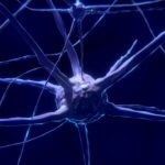 nerve-cell-2213009_1280 (1)