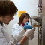 lab rat animal research