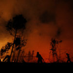 Firefighters try to extinguish forest fires at Sebangau National Park area in Palangka Raya