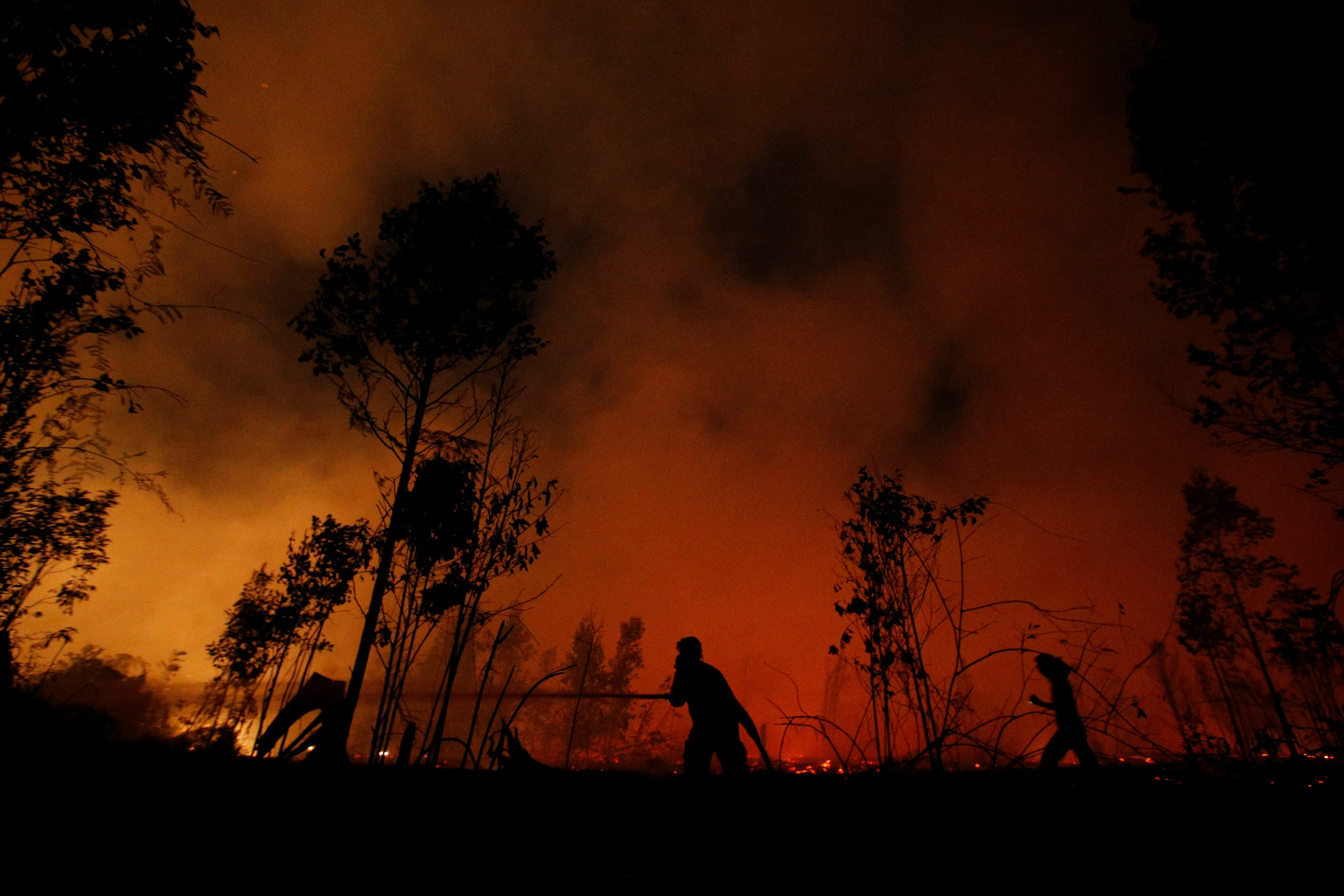 Firefighters try to extinguish forest fires at Sebangau National Park area in Palangka Raya