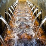 sewage-water-1-1576950663