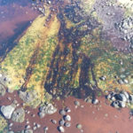 Oil spill after the bulk carrier ship MV Wakashio ran aground on a reef, at Riviere des Creoles, Mauritius