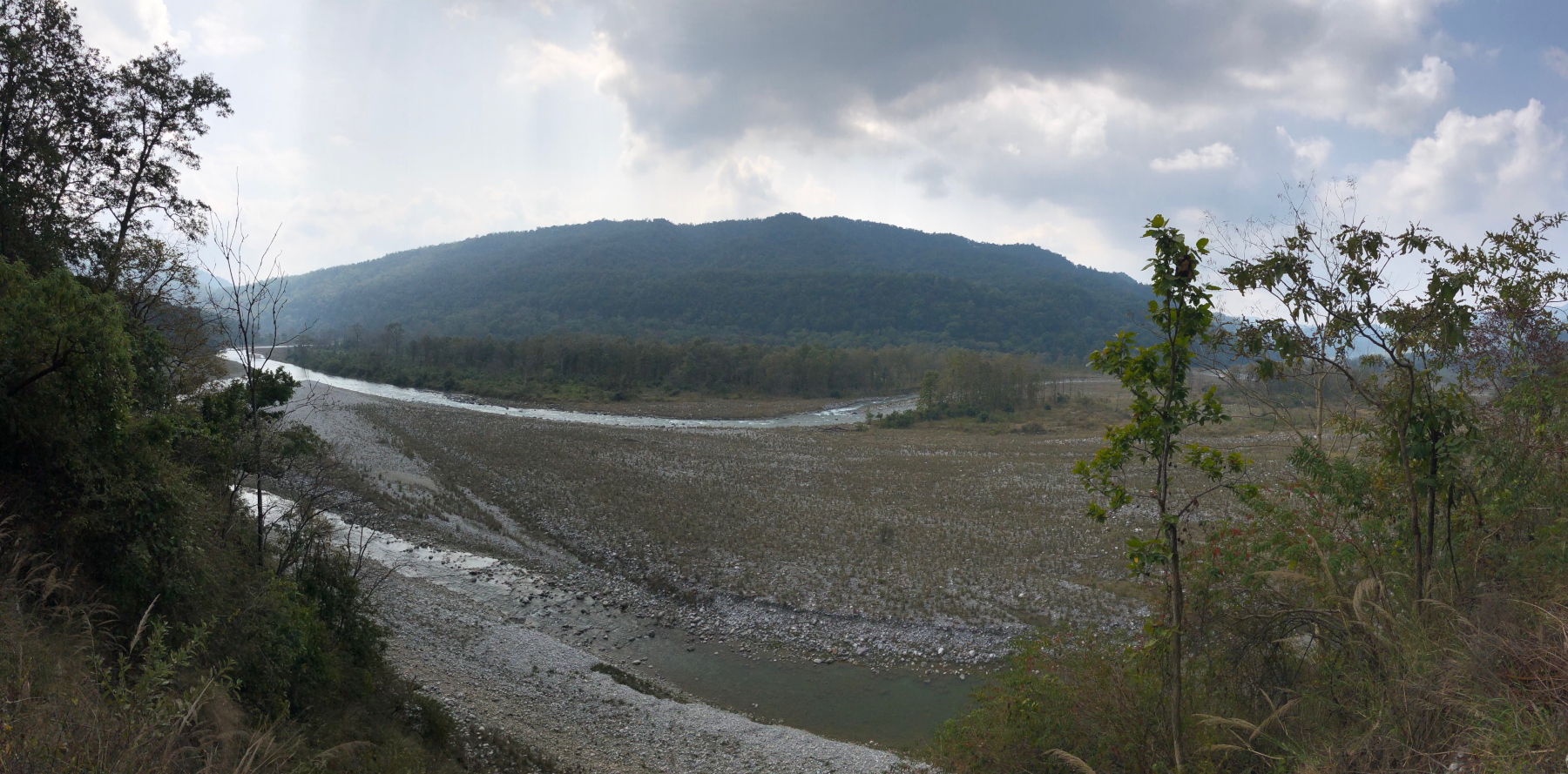 01_Banner_Corbett_DivyaMudappa