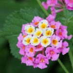 7785700628_60f7b7bdfc_b