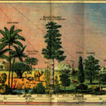 lede-image-plate-6-700x420