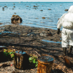 oil spill