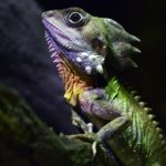 david-clode-uTj6-eZeHto-unsplash