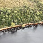 Stranded whales along the coastline near the remote west coast town of Strahan