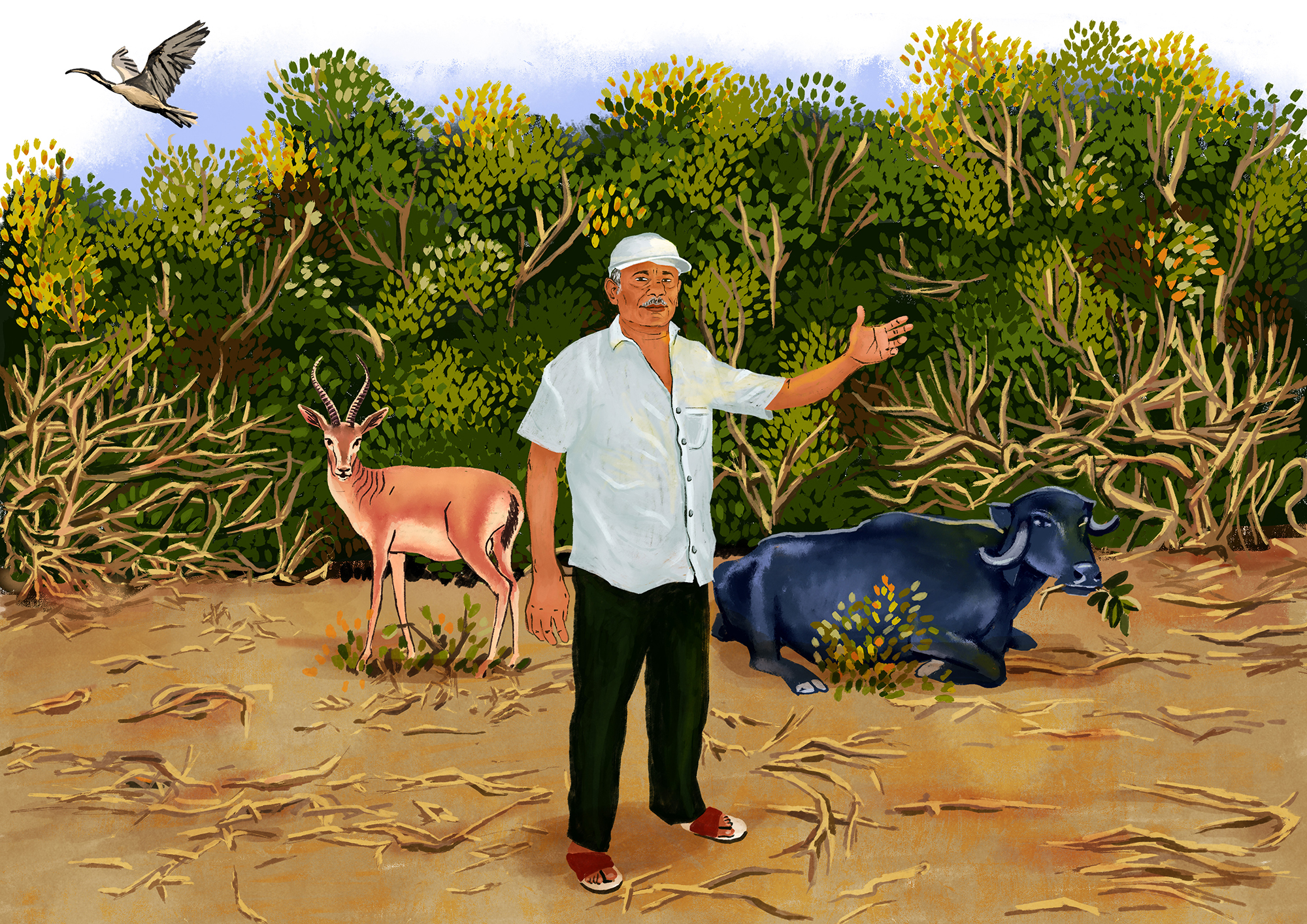 Mongabay_neethi_2000