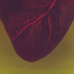 camilo-jimenez-OermHGSUzhI-unsplash