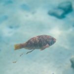 matthew-t-rader-BLY9riPkkRA-unsplash
