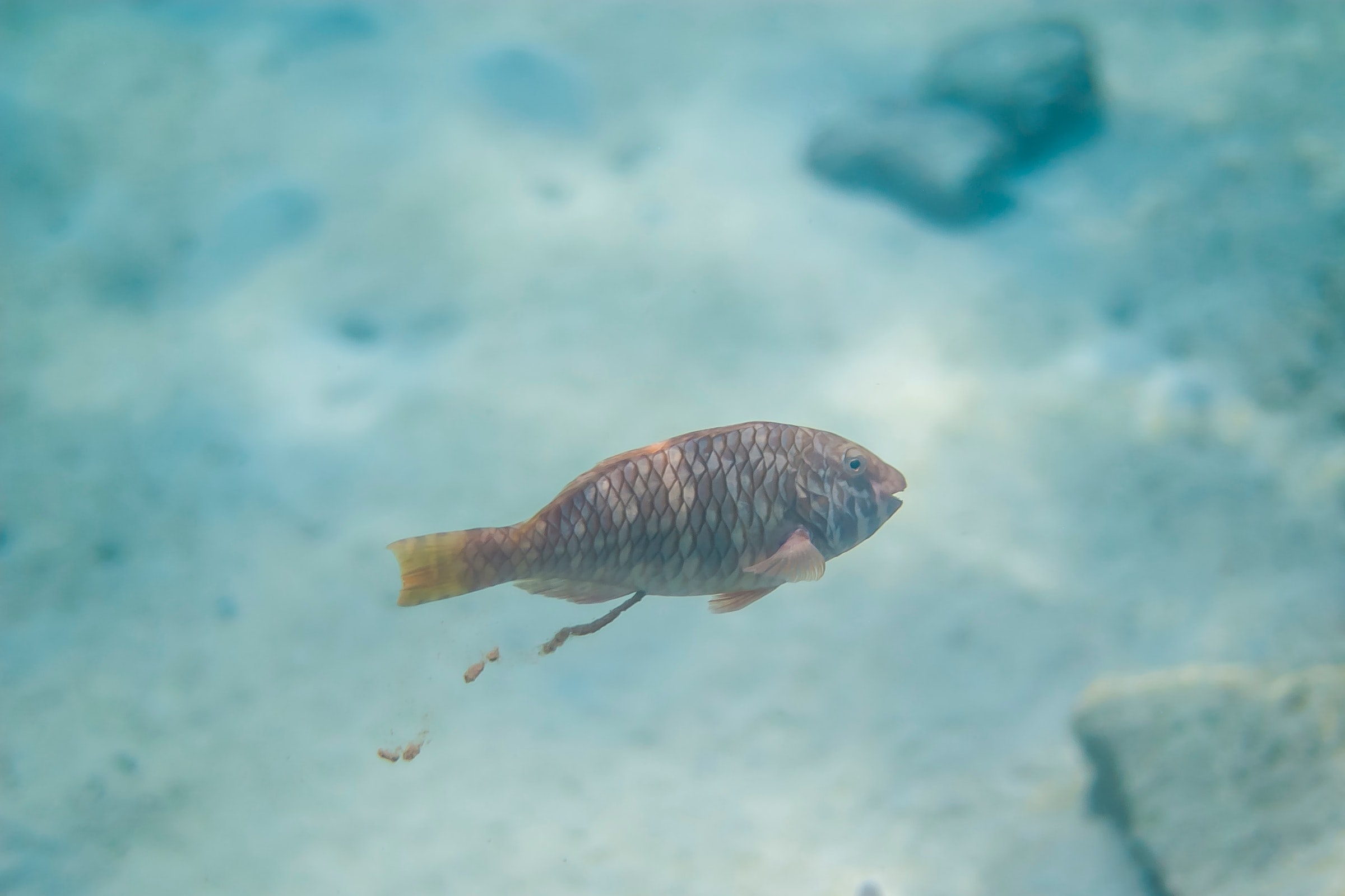 matthew-t-rader-BLY9riPkkRA-unsplash