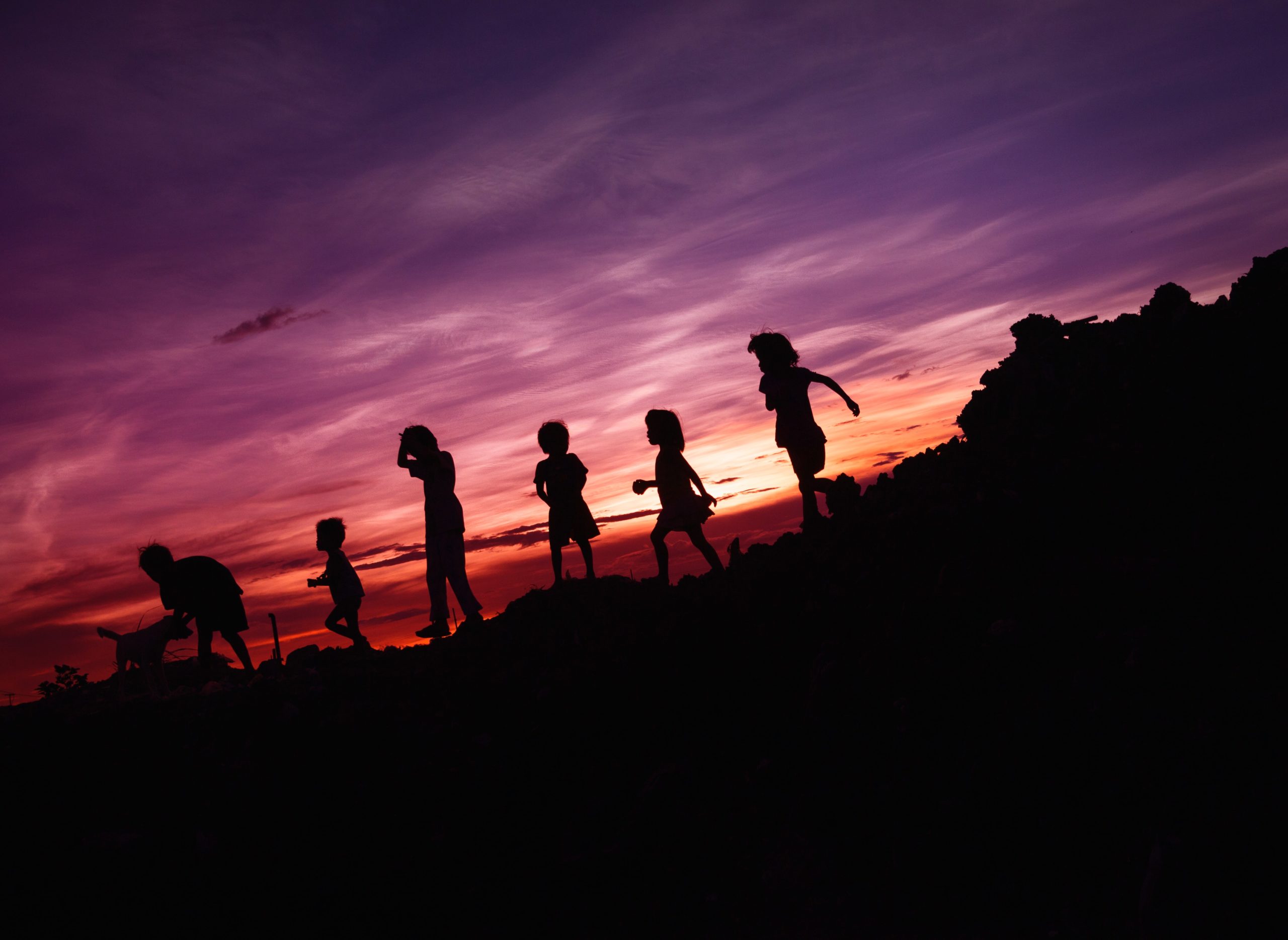 rene-bernal-f0rdHx5P8sQ-unsplash