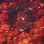 pawel-szvmanski-BPxS6IZkqHE-unsplash