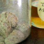 Asafoetida2