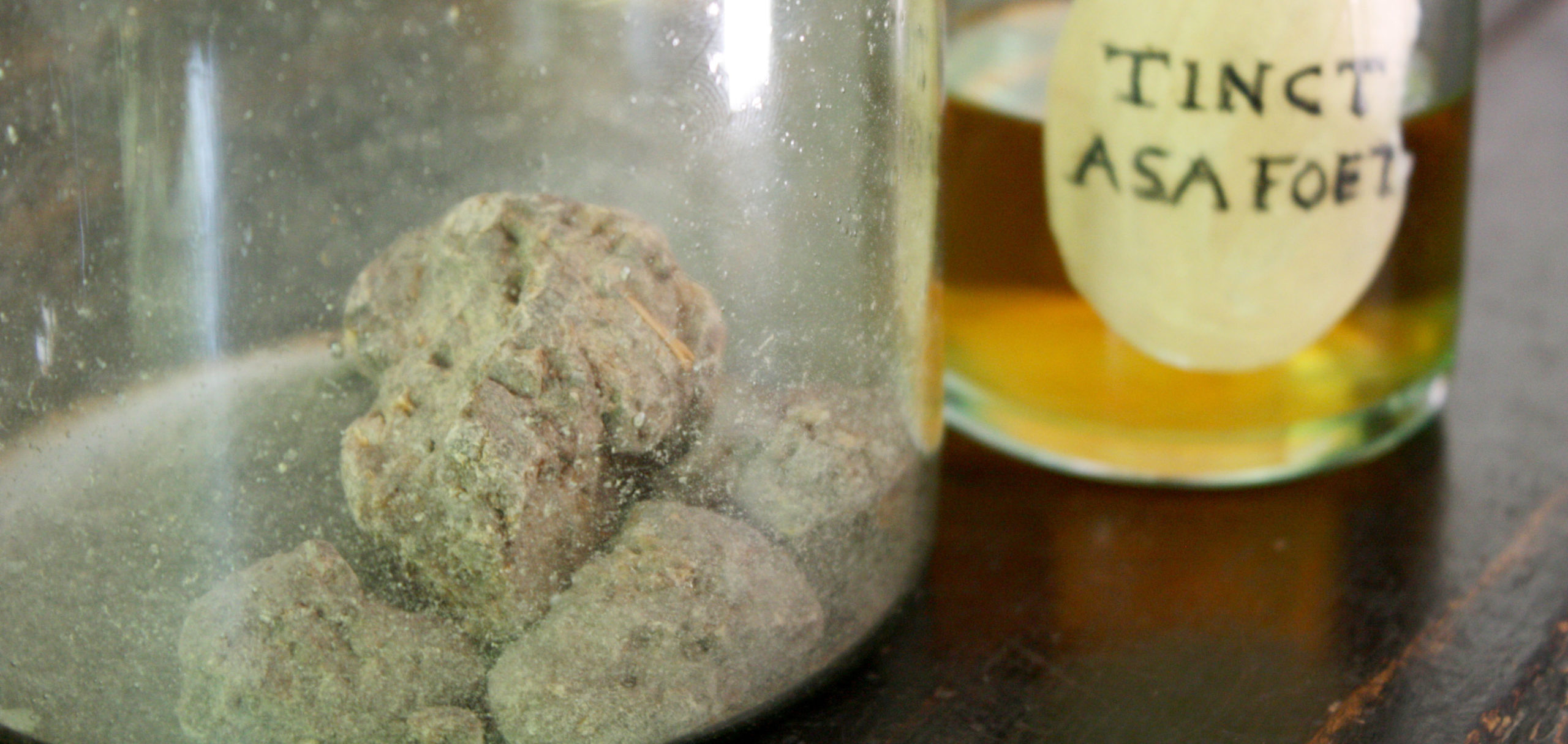 Asafoetida2