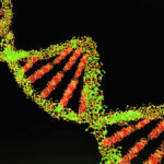 genetic variation
