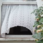 alistair-macrobert-g5CUmZHUp48-unsplash