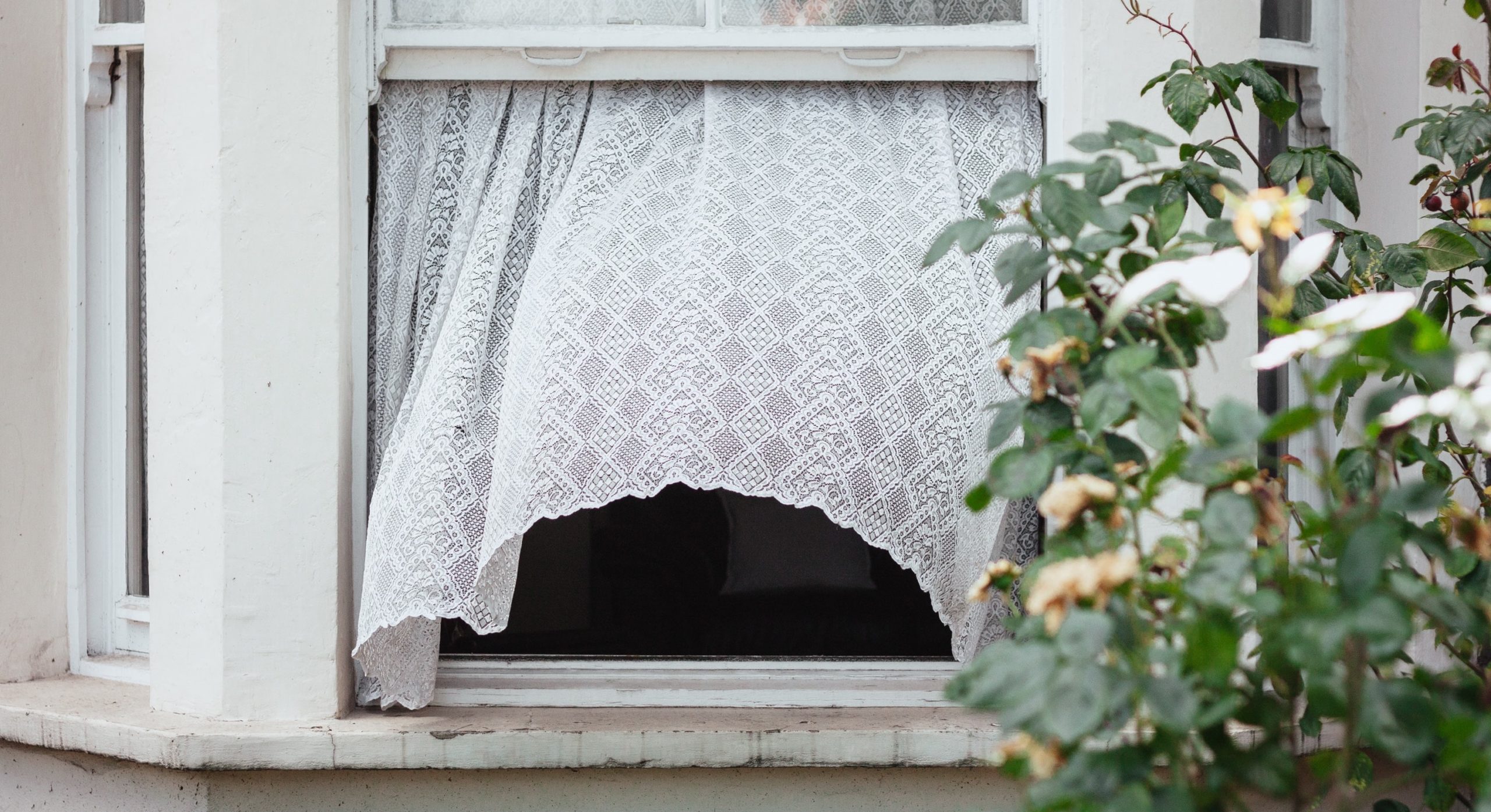 alistair-macrobert-g5CUmZHUp48-unsplash