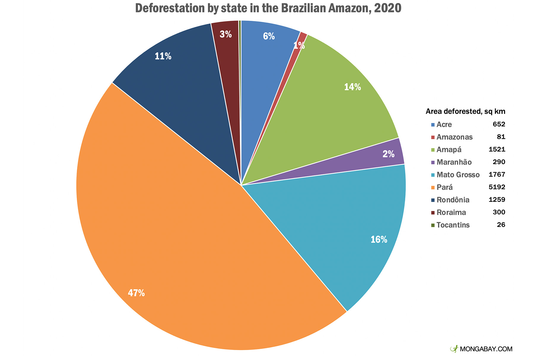 Rainforest The Amazon Rainforest Has Lost The Most Trees In A Single 