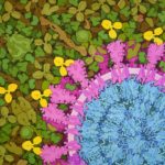 sars-cov-2-and-neutralizing-antibodies_jpg