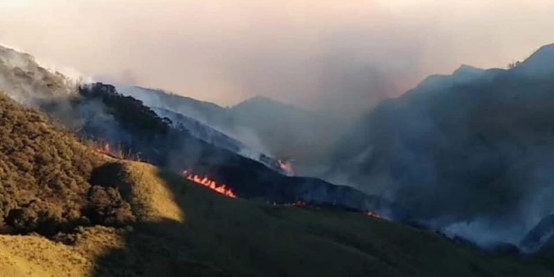 Wildfire Rages at Nagaland's Dzukou Range for Third Day - Vimarsana News