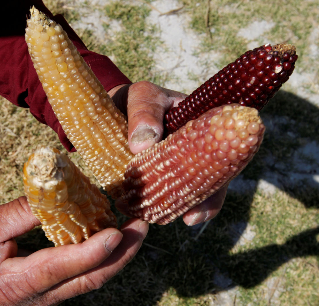 Quake Relief Reaches Rich Mexicans, But the Poor Feel Abandoned The