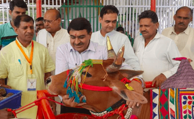 In Syllabus for National Exam on Cows, Rastriya Kamdhenu Aayog Unleashes Half-Truths - Vimarsana News