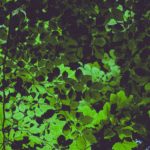 ehud-neuhaus-SynFldkxOBw-unsplash