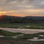 Sunrise_at_Damdama_lake (1)