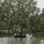The Wider Image: Tigers attack as Indians are forced into forests by climate change