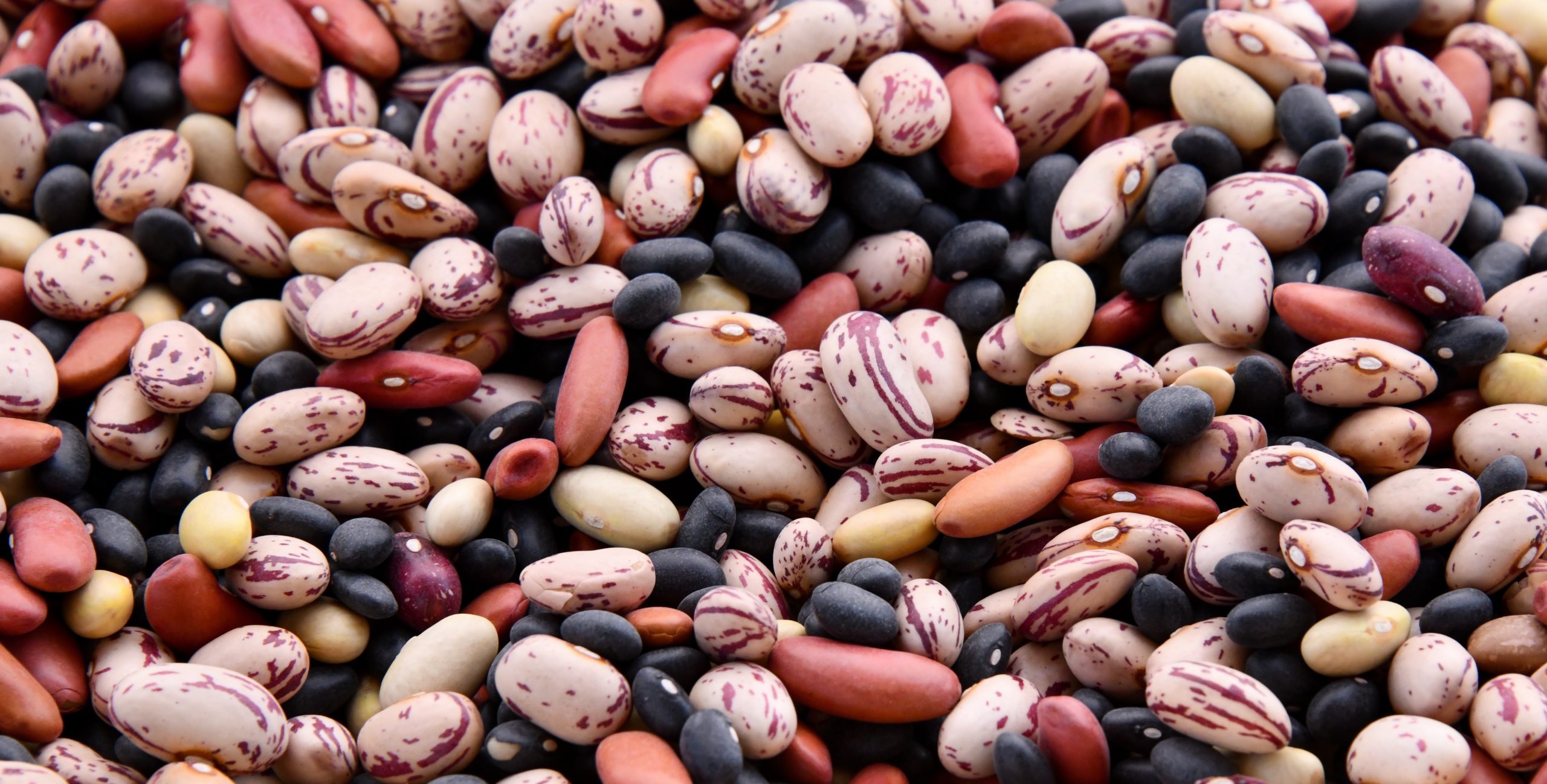 What Are AntiNutrients? The Wire Science