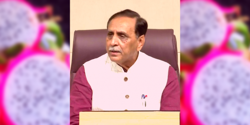 'Masterstroke Against China': Twitter Has a Field Day as Gujarat CM Renames Dragon Fruit - Vimarsana News