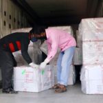 Workers unload a pickup van that carries Oxford-Astrazeneca COVID-19 vaccines which arrived from India as a gift to Bangladesh, in Dhaka